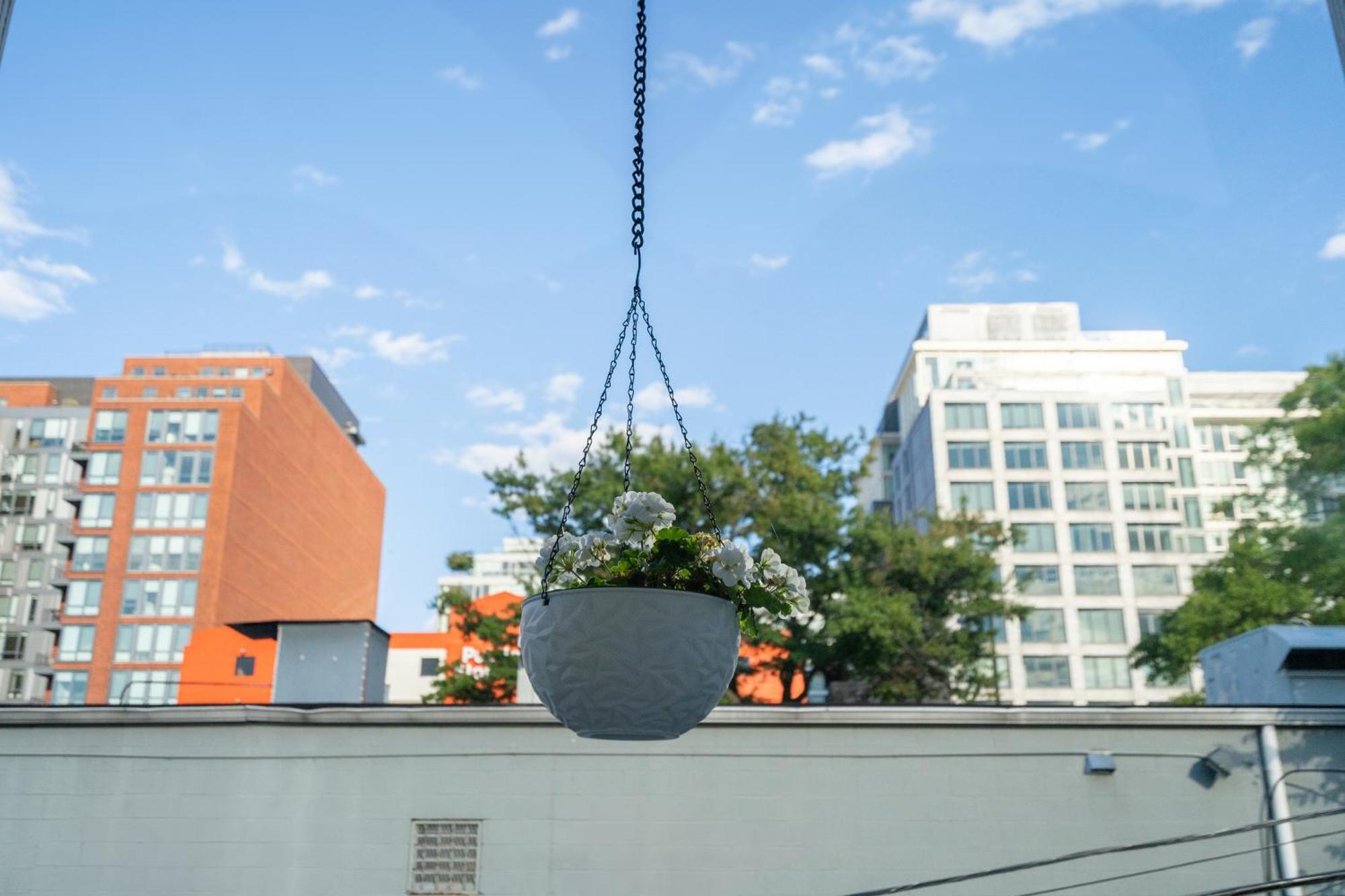 Perfect Location! Stylish Condo Steps Away From Nationals Stadium And Navy Yard In Dc'S Southwest Gem Washington Exteriör bild